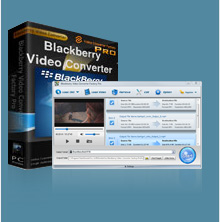WonderFox blackberry Video Converter Factory Pro