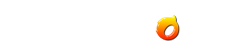 WonderFox Logo