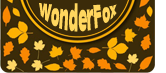 WonderFox - the Fastest DVD Ripper & HD Video Converter WonderFox Logo