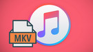 Convert MKV to iTunes