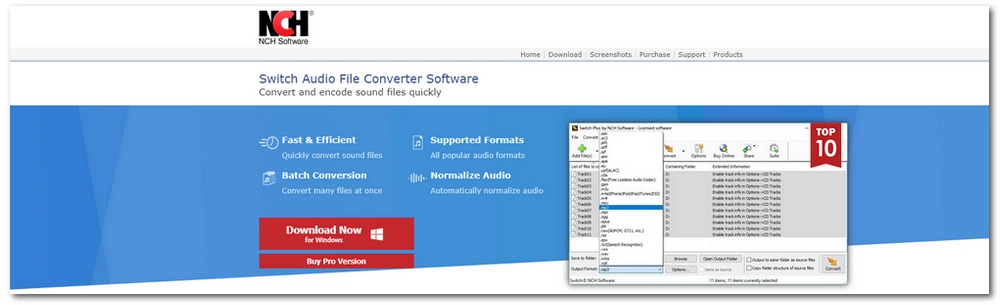 DS2 Converter Free Download