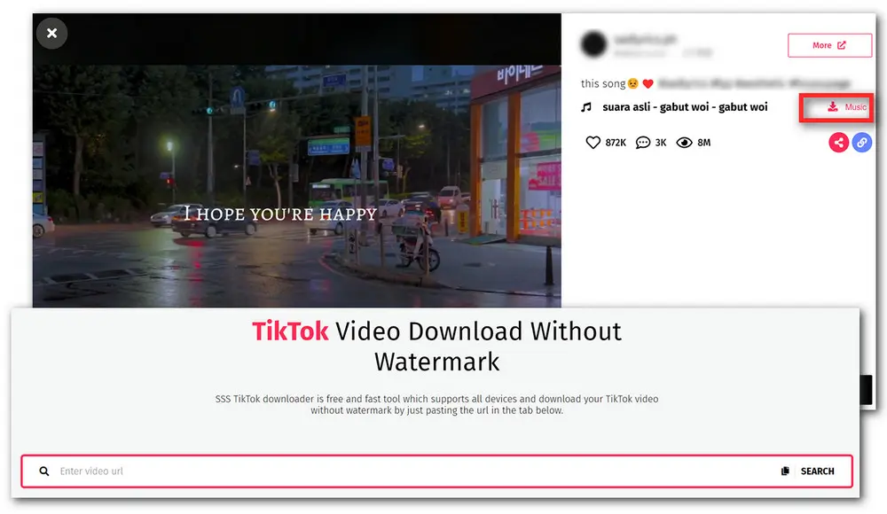 TikTok Video Converter to MP3