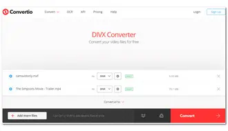 Convert to DivX Online