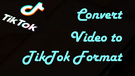 Convert Video to TikTok Format