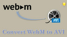 Convert WebM to AVI