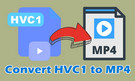 HEVC HVC1 to MP4