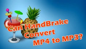 HandBrake Convert MP4 to MP3