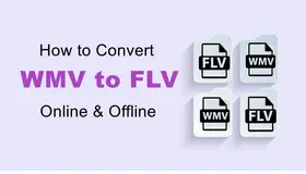 Convert WMV to FLV