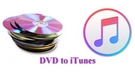 Import DVD into iTunes
