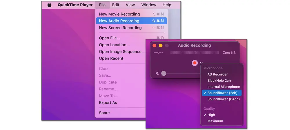QuickTime Player Record Audio