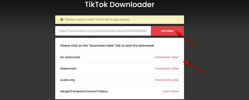 Download TikTok videos without watermark iPhone, Android, or computer 