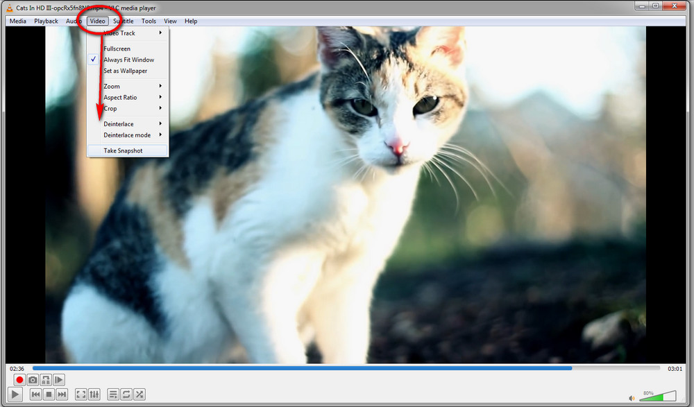 How to take pictures from video in VLC 