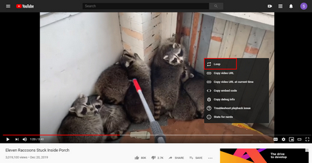 How to Loop Videos on YouTube