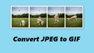 JPEG to GIF