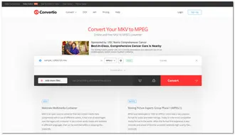 Online MKV to MPEG2 Converter