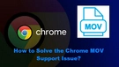 Play MOV in Chrome