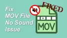 MOV File No Sound Fixed