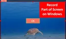 Record Part of Screen Windows 10