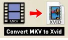 MKV to Xvid