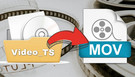 Video_TS Folder to MOV