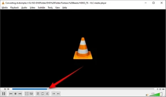 Convert VIDEO_TS to MP4 VLC Media Player