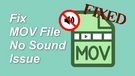 MOV File No Sound