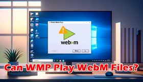 Windows Media Player WebM