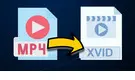 MP4 to Xvid