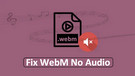 Fix WebM File No Audio