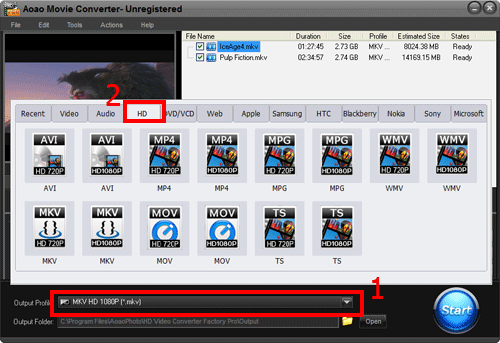 Pick a output video format