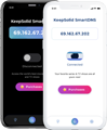 KeepSolid-SmartDNS.png