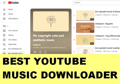 Best YouTube Music Downloader Software