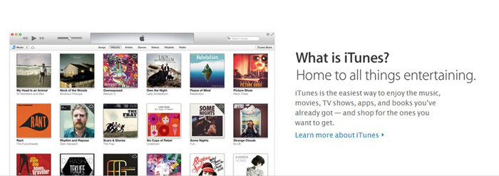 What is iTunes