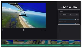 Add Audio to Video Online