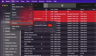 Reduce M4A Files Size Using iTunes or Apple Music App on Mac