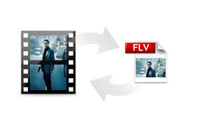 FLV Video Converter