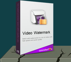 Video Watermark