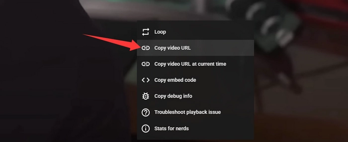 copy video URL