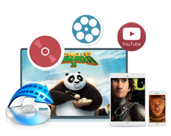 DVD Video Converter