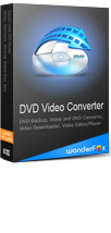 WonderFox DVD Video Converter 1-Year License