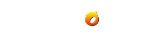 WonderFox Logo