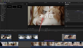 動画にテロップを入れる方法 Final Cut Pro