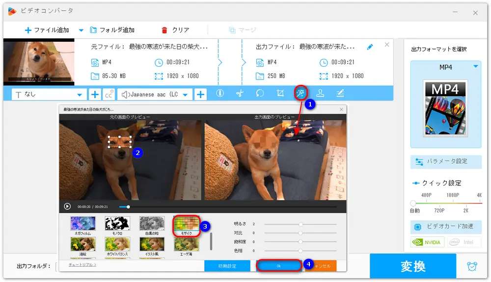 動画にモザイクをかける