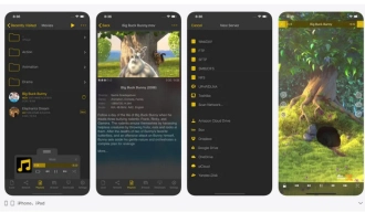 iPhone AVI再生アプリ５．nPlayer