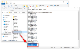 AviUtlに読み込みたい拡張子（.mov）を追記