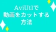 AviUtlで動画をカット