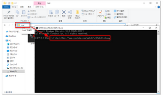 最強の無料動画ダウンロードソフト「youtube-dl」