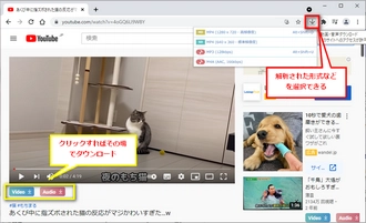 YouTubeダウンロードソフトーCraving Explorer