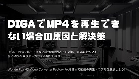 DIGAでMP4再生できない