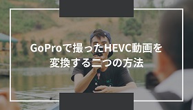 GoPro HEVC変換